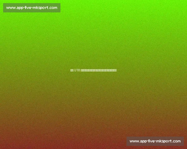 陕西 U18 男足绝境突围！死亡之组杀出血路晋级十五运会正赛