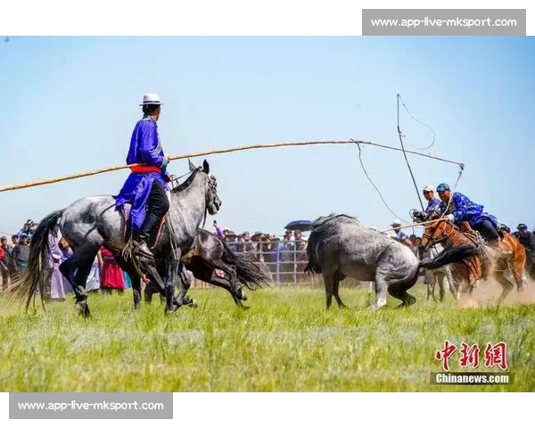 马背天骄：锡林郭勒草原驯马人的传奇与传承