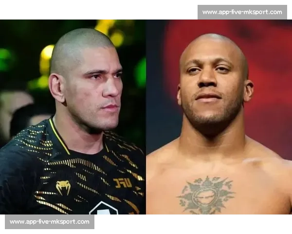 UFC 传奇人物：回顾最具影响力的冠军生涯